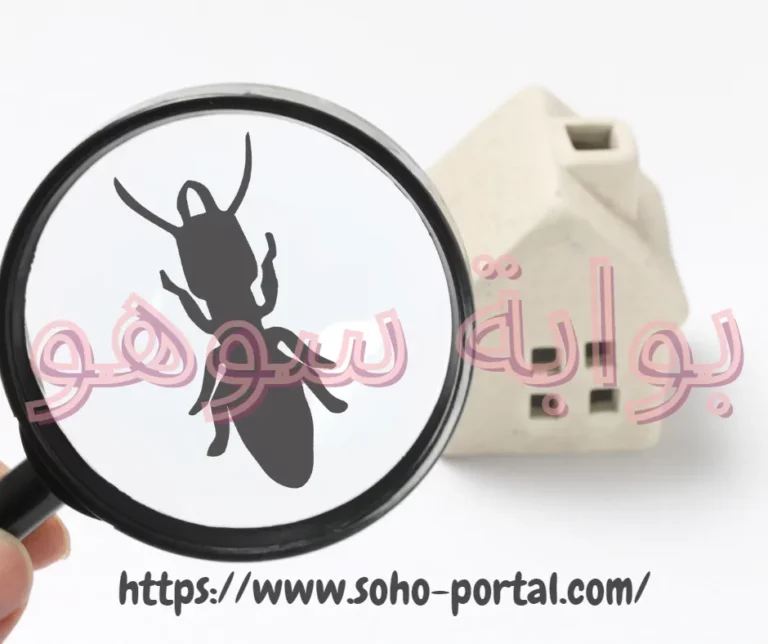 شركة مكافحة الصراصير بالدمام